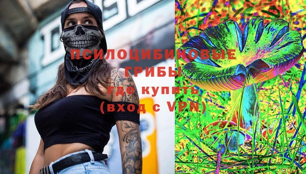 MDMA Богородицк